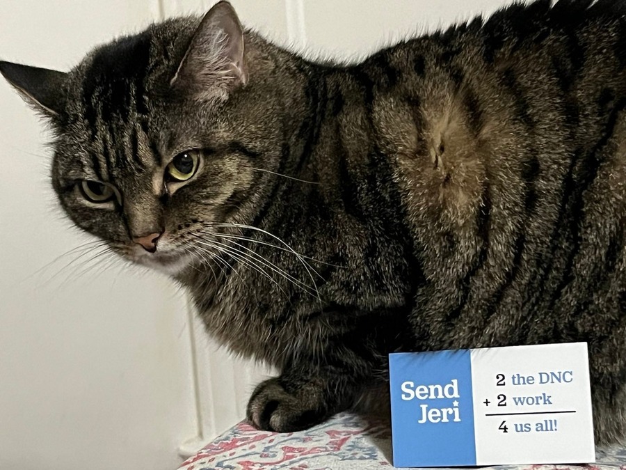 Picture of Jeri Shepherd's Cat With a Sign Saying to Send Jeri Back to the DNC